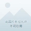 总裁的秘密恋人免费阅读